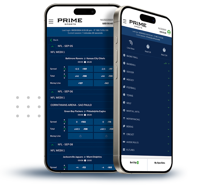 Prime Sports product installed on smartphone